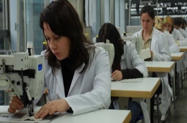 ‘Türkiye’de ve dünyada kadın emeği ve istihdamı’