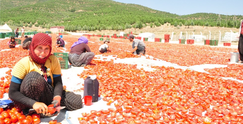 Tarım’da üretici fiyatları dört ayda yüzde 12,07 arttı